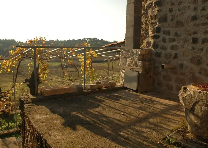 Vukorep - Two Bedroom With Terrace And Field View Sudurad